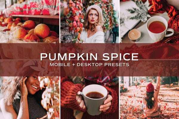 100 Lightroom Presets - Fall + Winter Bundle | Mobile + Desktop (20 Collections) - Image 19