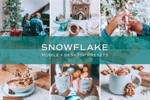 5 Snowflake Lightroom Presets | Mobile + Desktop