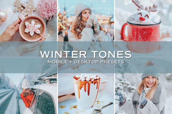 100 Lightroom Presets - Fall + Winter Bundle | Mobile + Desktop (20 Collections) - Image 22