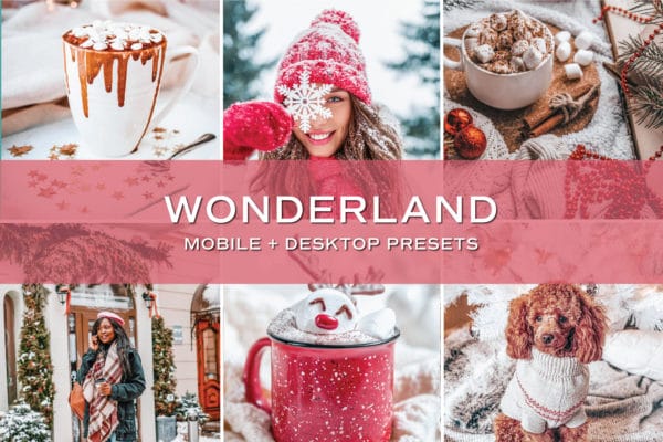 100 Lightroom Presets - Fall + Winter Bundle | Mobile + Desktop (20 Collections) - Image 23